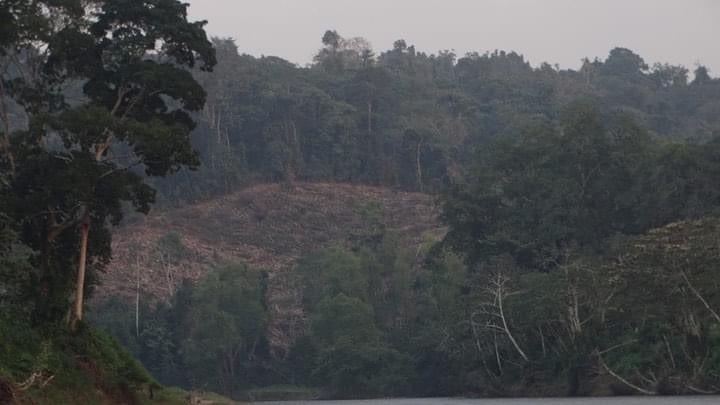 ICF narco-deforestación La Mosquitia