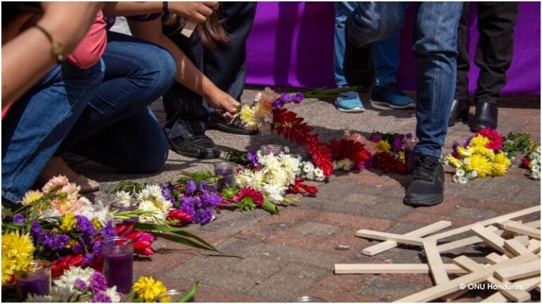 SEMUJER sobre violencia femicida