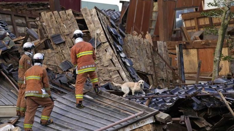 Perro rescata a una anciana atrapada en una casa tras el sismo en Japón