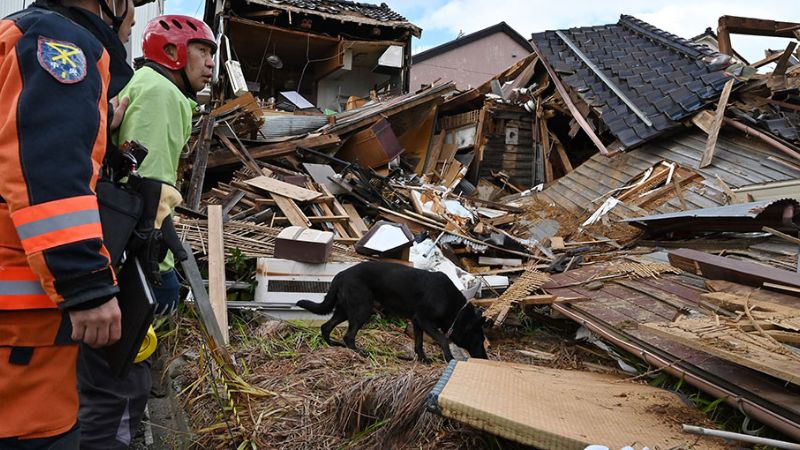 Elsa, una perra socorrista, busca sobrevivientes el tras sismo en Japón