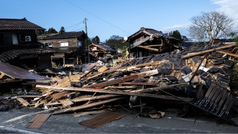 Elsa, una perra socorrista, busca sobrevivientes el tras sismo en Japón