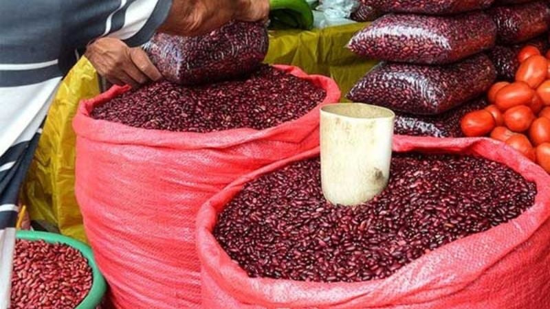 Honduras reporta una producción de 3.5 millones de Quintales de Frijol