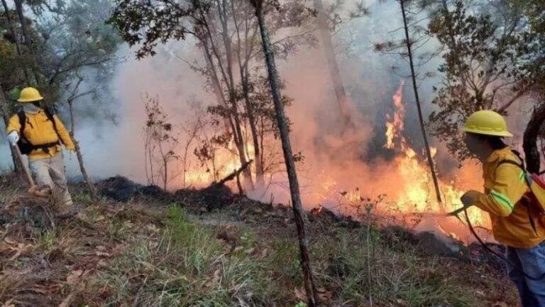 Al menos 21 incendios se han atendido este año por ICF