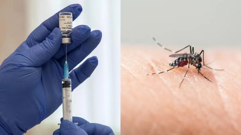 Salud: Una innovadora vacuna contra el dengue es testada con éxito en Suiza