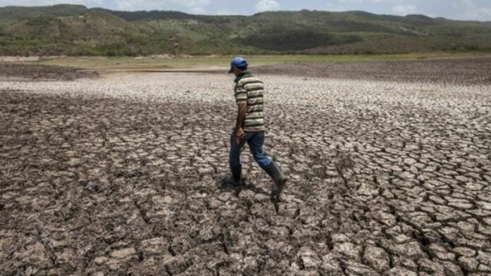 Proyecto resiliencia climática