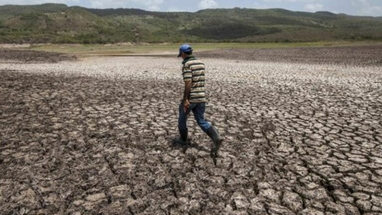 Proyecto resiliencia climática