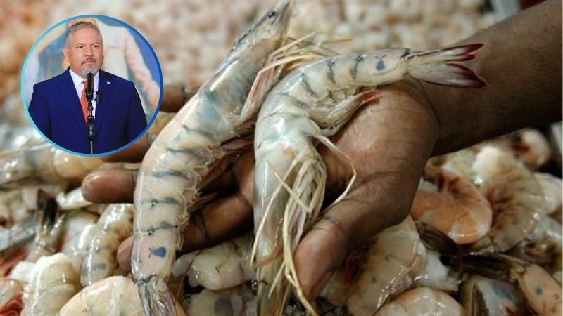 Honduras presentará queja formal ante México por cierre de mercado a camarón