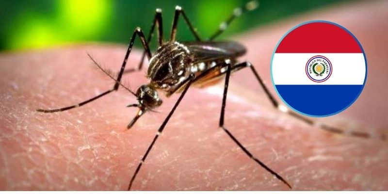 Paraguay confirma al menos 4.483 casos de dengue.
