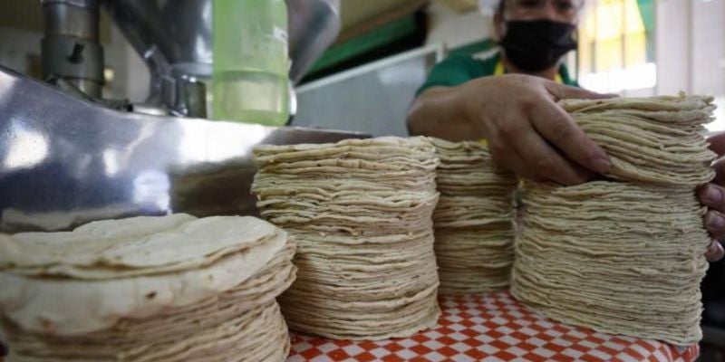 Asociación de Tortilleros piden subsidio para frenar aumentos a las tortillas