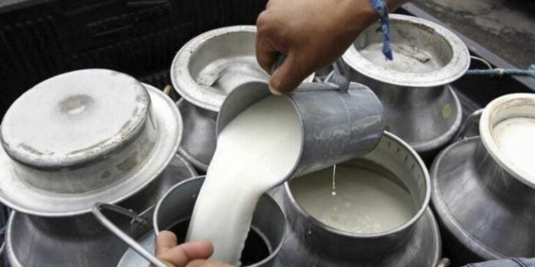 Ganaderos solicitan incremento de 2 lempiras al litro de Leche