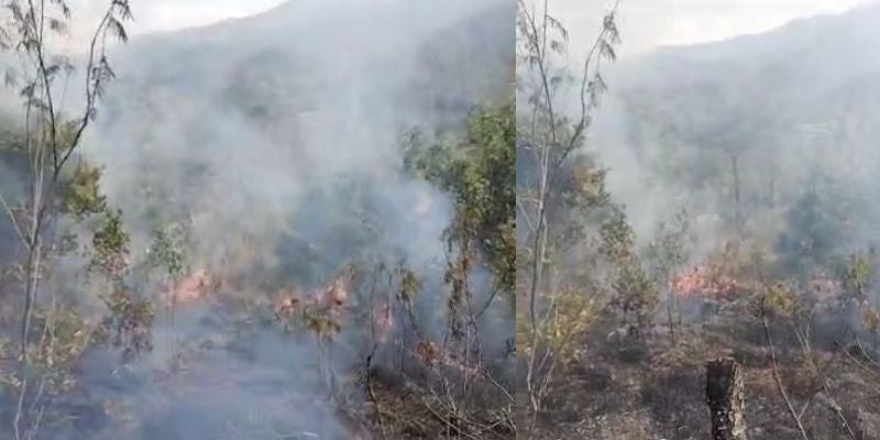 Primer incendio forestal del 2024 se registra en carretera al sur