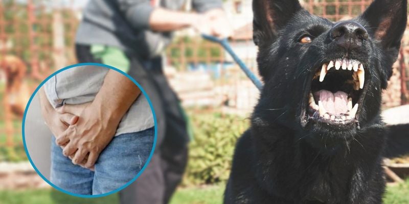 Un perro muerde a un hombre en los testículos en Choluteca