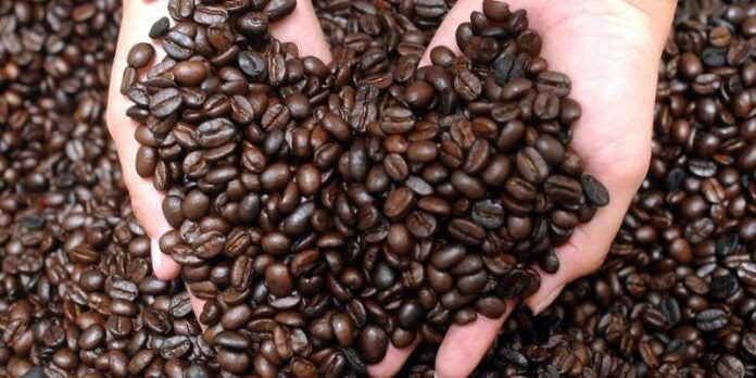 Caficultura: Producción de café cayó en 4 millones quintales en seis años