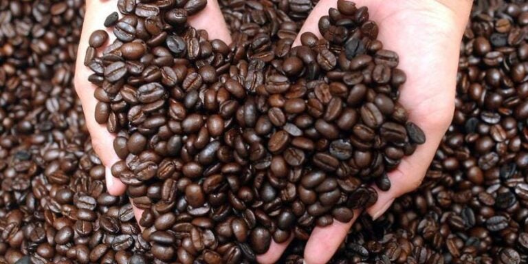 Producción de café cae en 4 millones de quintales en los últimos 6 años