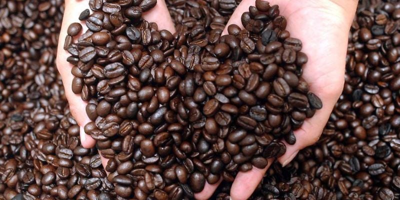 Exportaciones de café cayeron un 10% durante 2023, según cooperativas