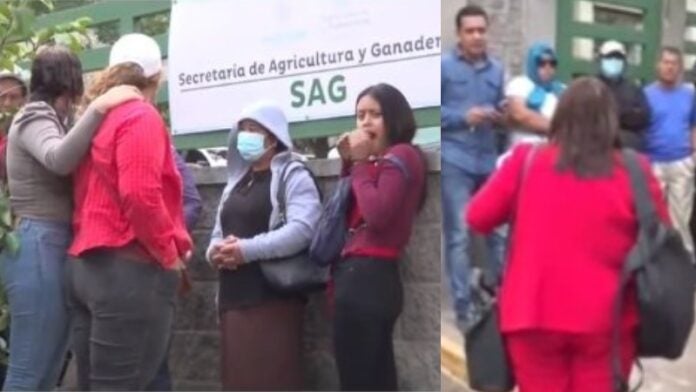 colectivos de Libre se toman la SAG