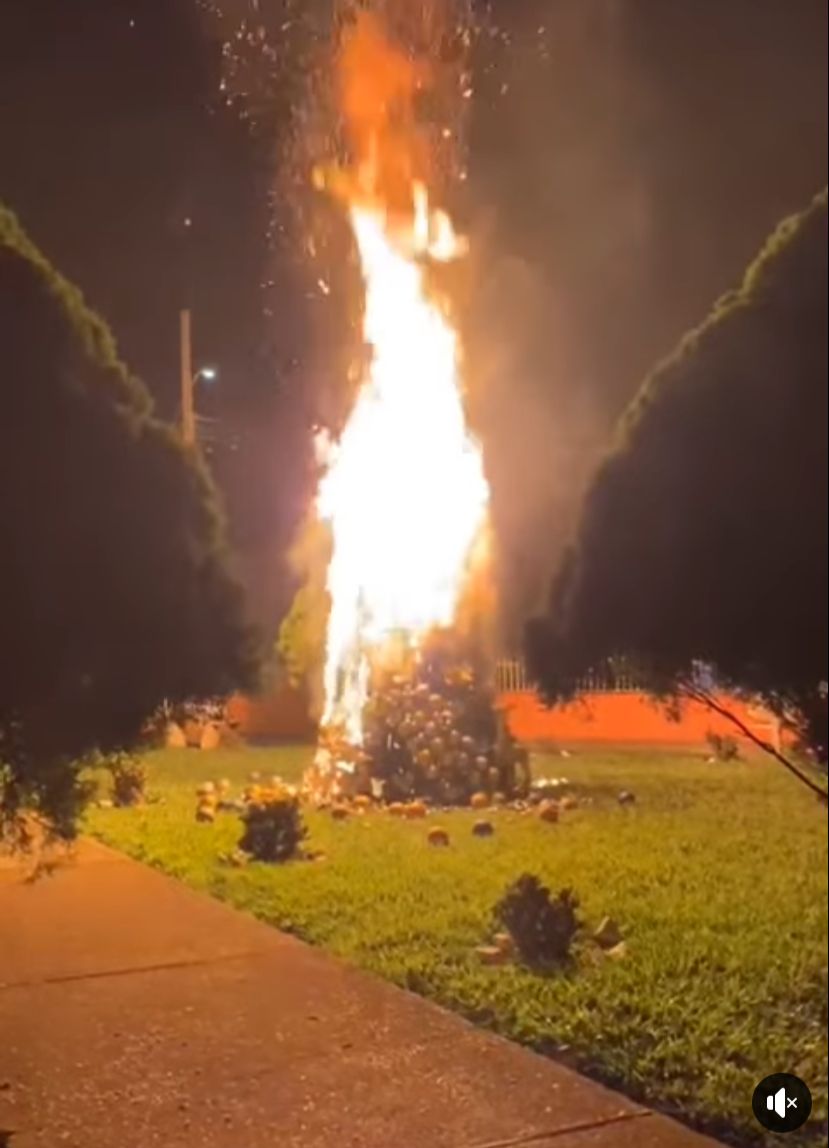 El árbol quedó en cenizas