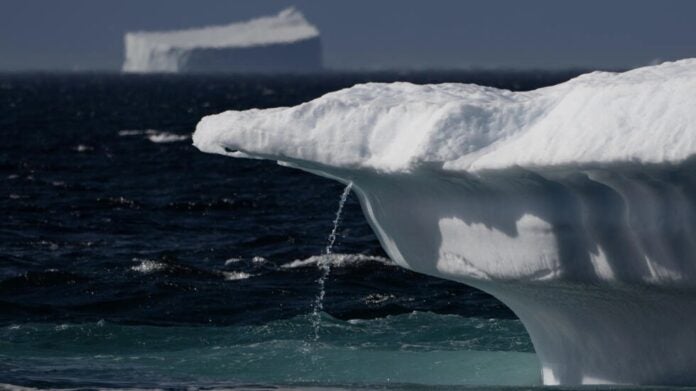 Groenlandia hielo