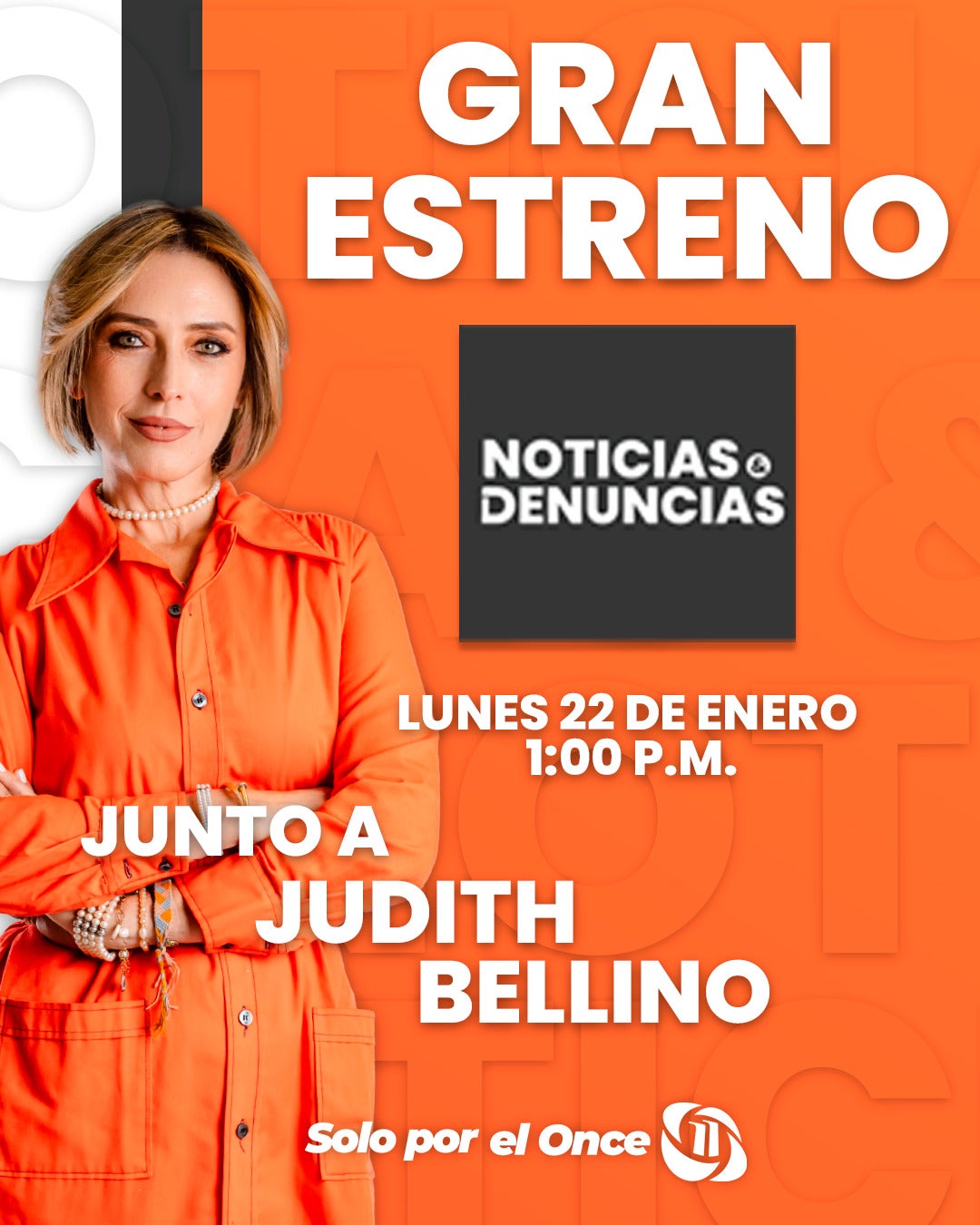 Judith Bellino 