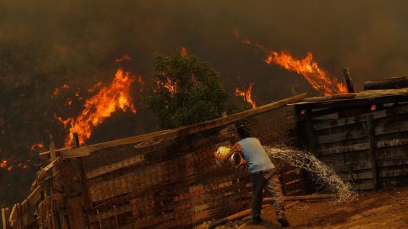 Registran al menos 46 muertes por incendios forestales en Chile