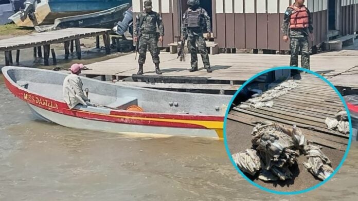 Decomisan más de 2 mil libras de filete de tiburón a pescadores en Gracias a Dios