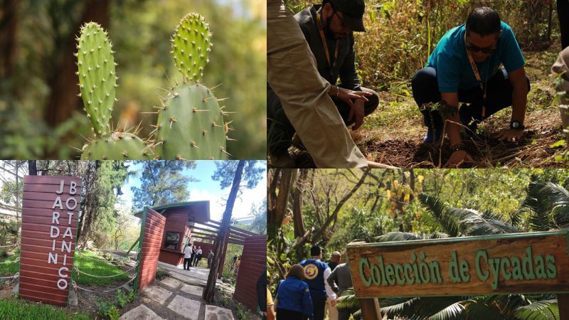 Jardín Botánico de la UNAH estará abierto al público en general los fines de semana