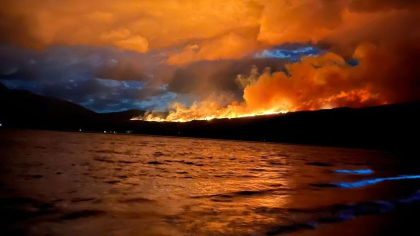 Incendio en bosque de Argentina