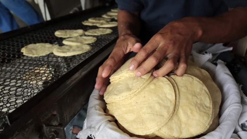Productores descartan incrementos a la tortilla tras negociaciones con Desarrollo Económico