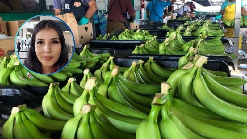 Sale primer contenedor de exportación con mil cajas de bananos