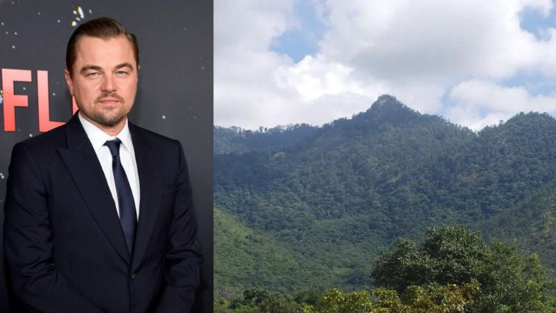DiCaprio financiará área protegida en Honduras