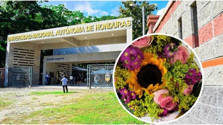 Estudiante de la UNAH denuncia robo