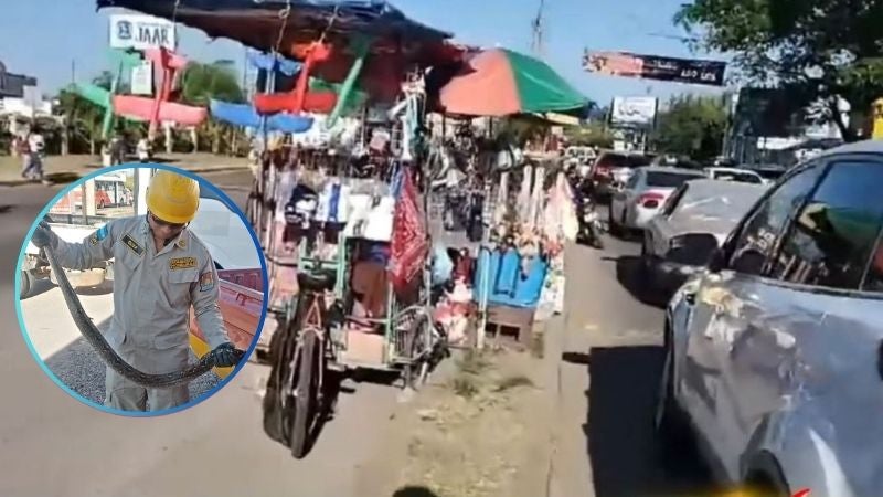 Encuentra Boa en triciclo de venta ambulante donde dormía una bebé