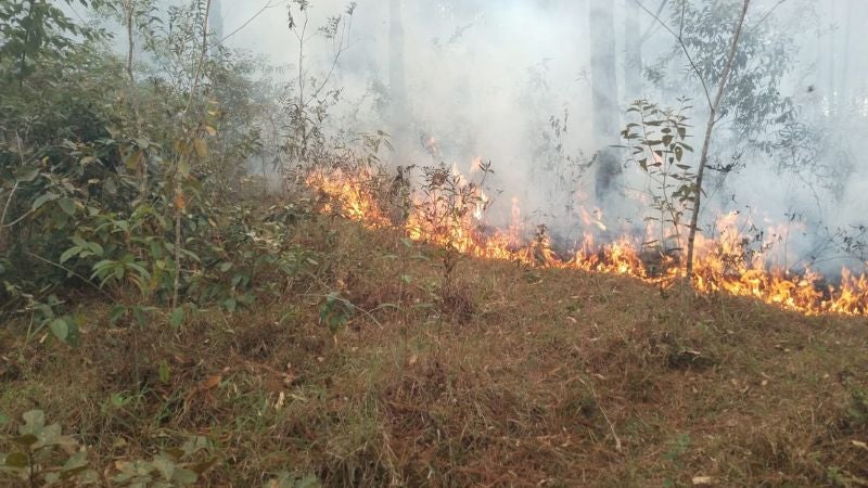 Incendios Honduras 