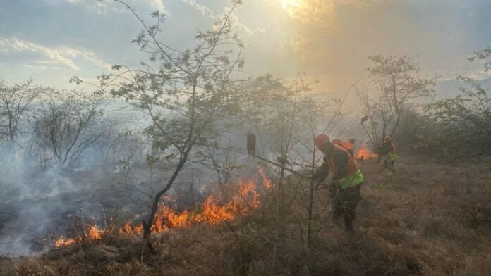 100 incendios forestales 2024