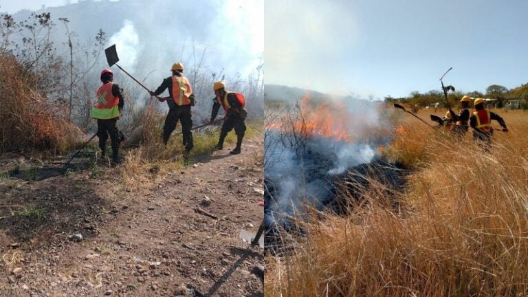 Incendios sofocados capital