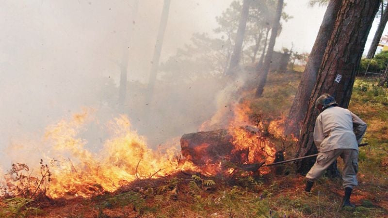 incendios forestales en Distrito Central