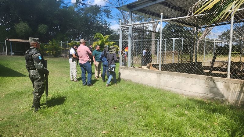 rescate animales 