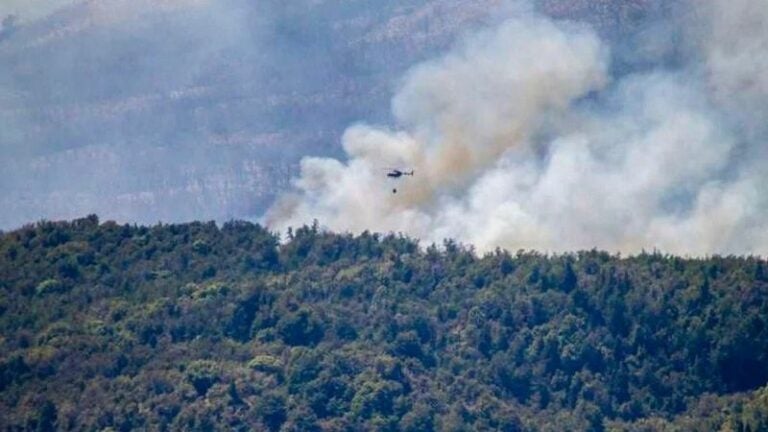 Incendio en bosque de Argentina