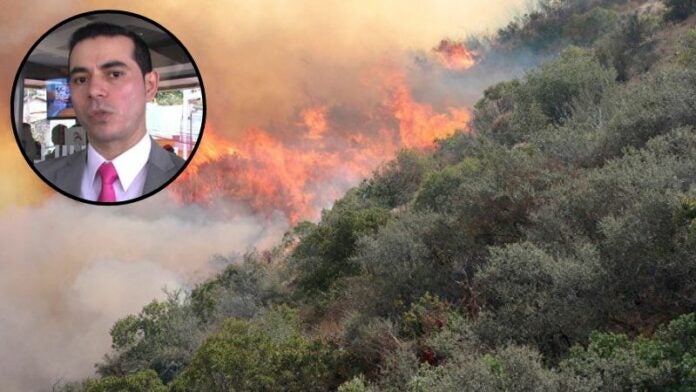 Efecto de los incendios en Honduras