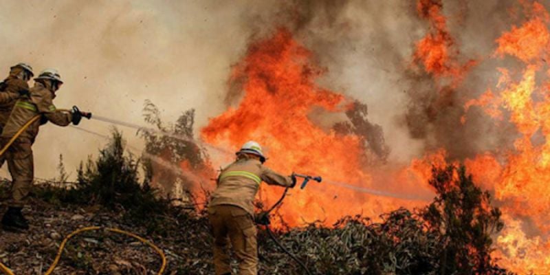 12 incendios forestales registra el cuerpo de Bomberos este 2024