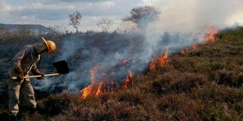 En Honduras se atienden al menos 10 incendios diarios: según bomberos
