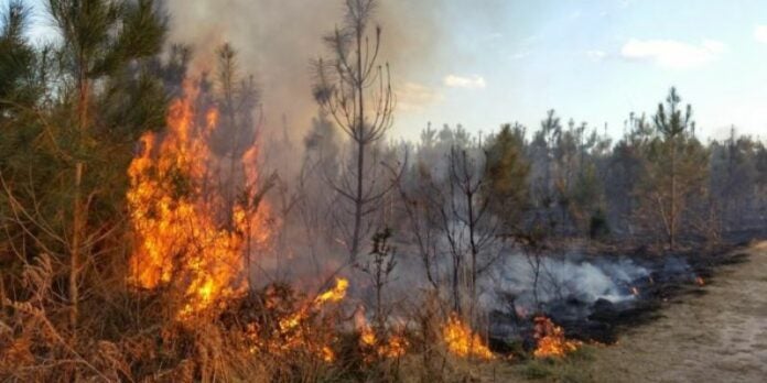 En Honduras se atienden al menos 10 incendios diarios: según bomberos