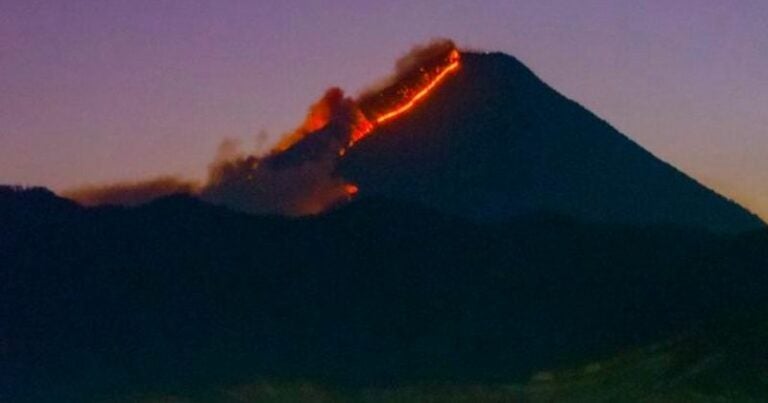 Incendio en Guatemala arrasa unas 50 hectáreas de bosque