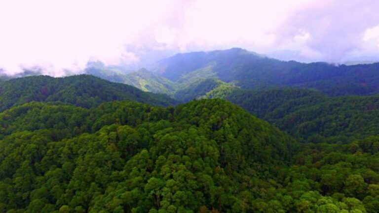 La cordillera de El Merendón posee una maravillosa y abundante flora, frondosos bosques y es hogar de innumerables especies.