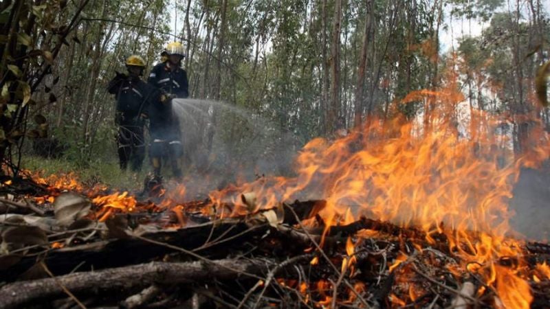 FFAA incendios forestales