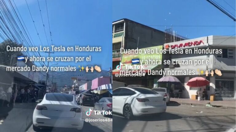 Captan Tesla mercado El Dandy