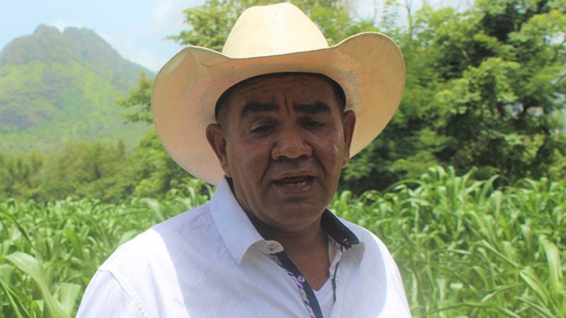 Productores advierten saturación granos básicos 