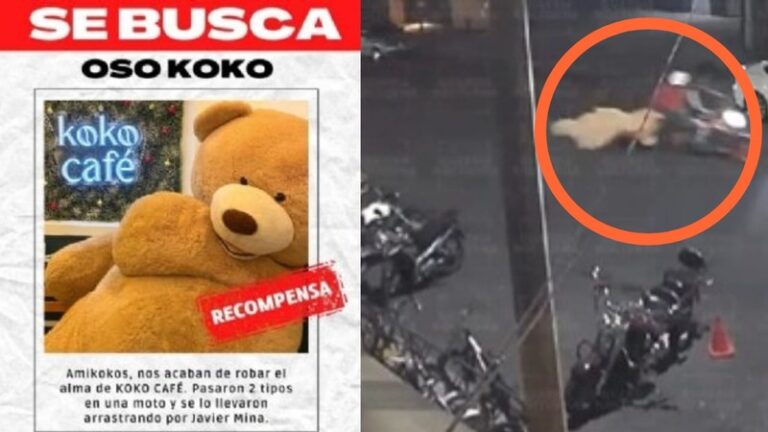 hombres se roban oso de peluche