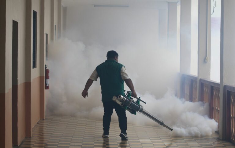 Por dengue intervienen a diario entre 15 y 20 centros educativos en SPS