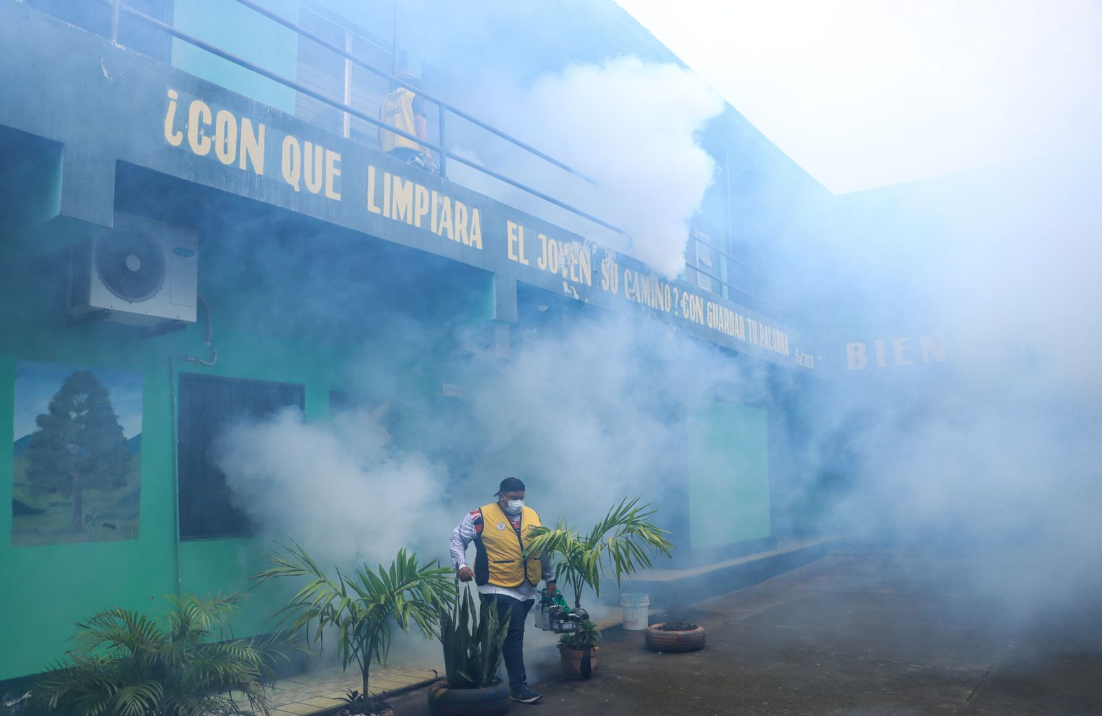 Hasta la fecha, 263 centros educativos han sido fumigados en la ciudad.